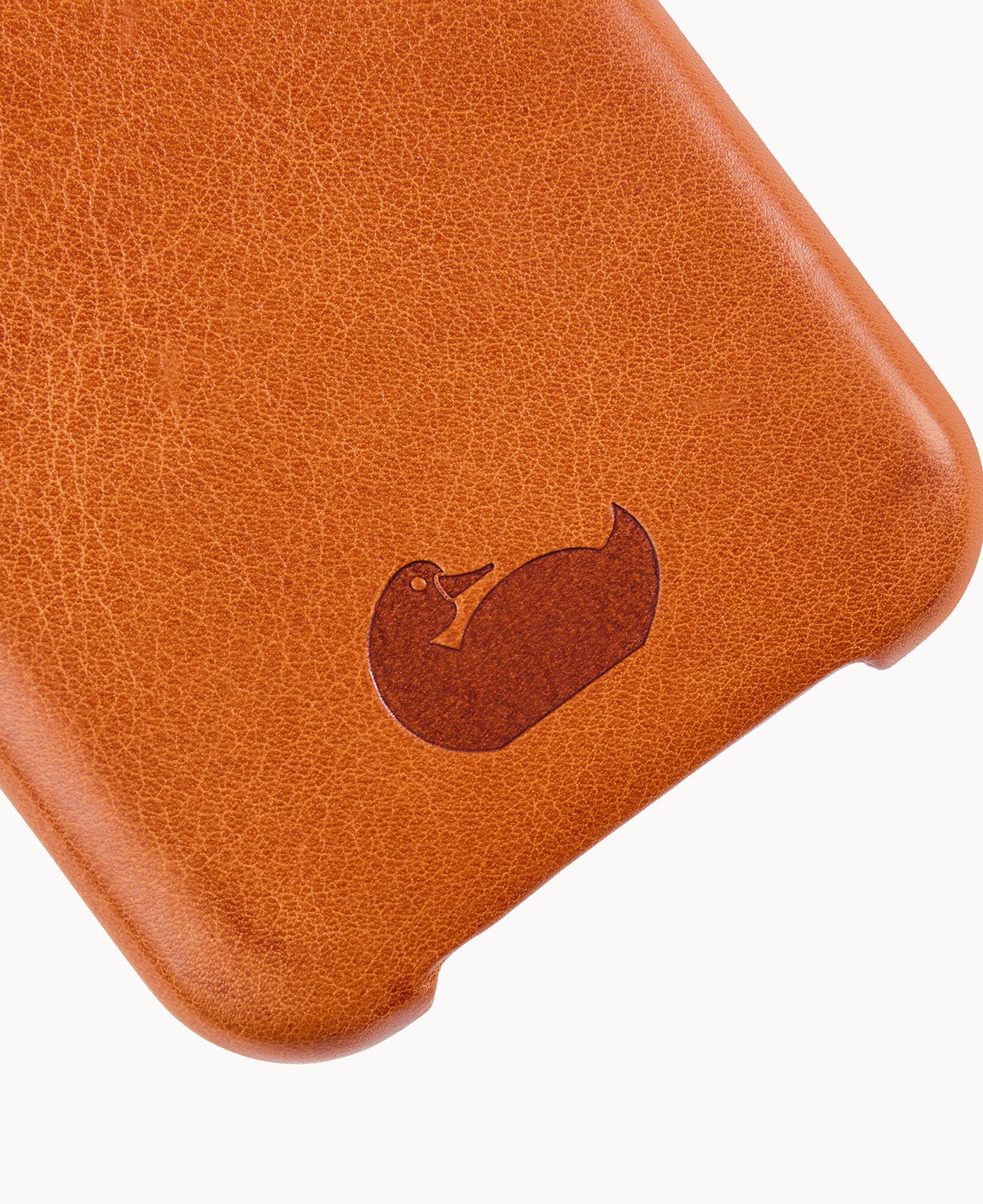 Case for iPhone 15 Pro