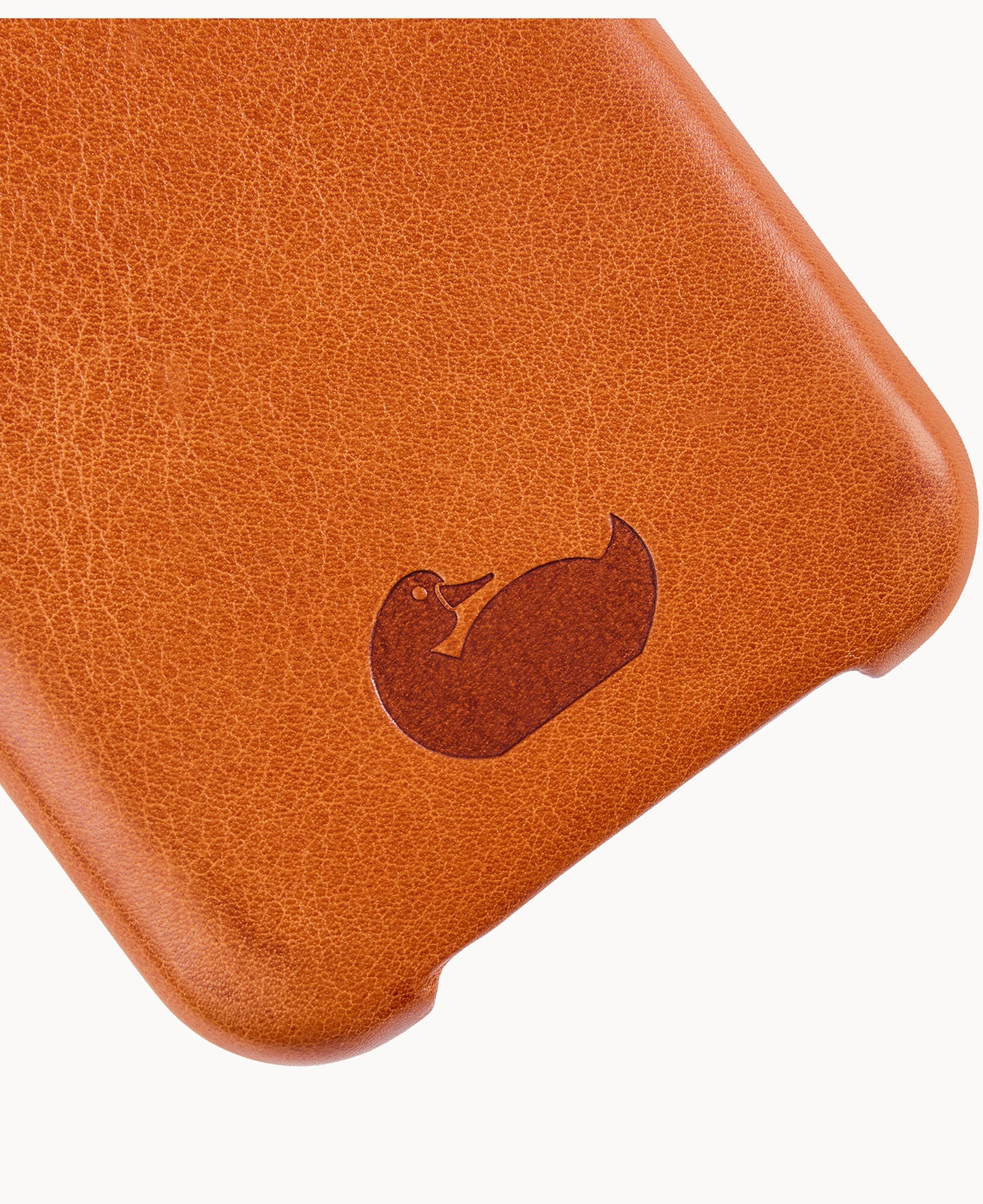 Case for iPhone 16